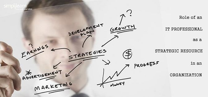 Role of an IT Professional as a Strategic Resource in an Organization Role of an IT Professional as a Strategic Resource in an Organization
